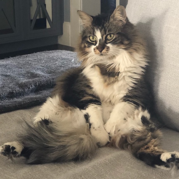 Bundle > 2 items 30% off! - Picture 1 of 1